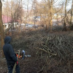 Zielony ogród - Stos gałęzi po wycince w terenie zalesionym, pracownicy w tle, jeden z nich trzyma grubą gałąź. Widoczne drzewa bez liści i fragment budynku w oddali.