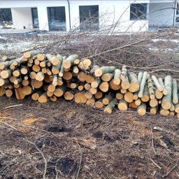 Zielony ogród - Stos ściętych pni drzew leżący na ziemi, w tle biały budynek z dużymi oknami. Widoczne drobne gałęzie i resztki po wycince. Ślady śniegu.