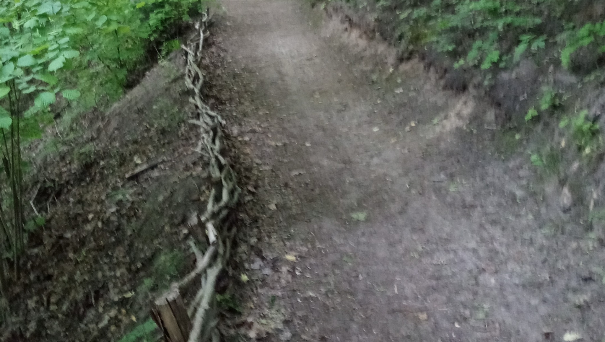 Ścieżka w lesie, obok której ułożono gałęzie tworzące naturalne ogrodzenie. Widoczne liście i ziemia, tworzące leśny krajobraz.