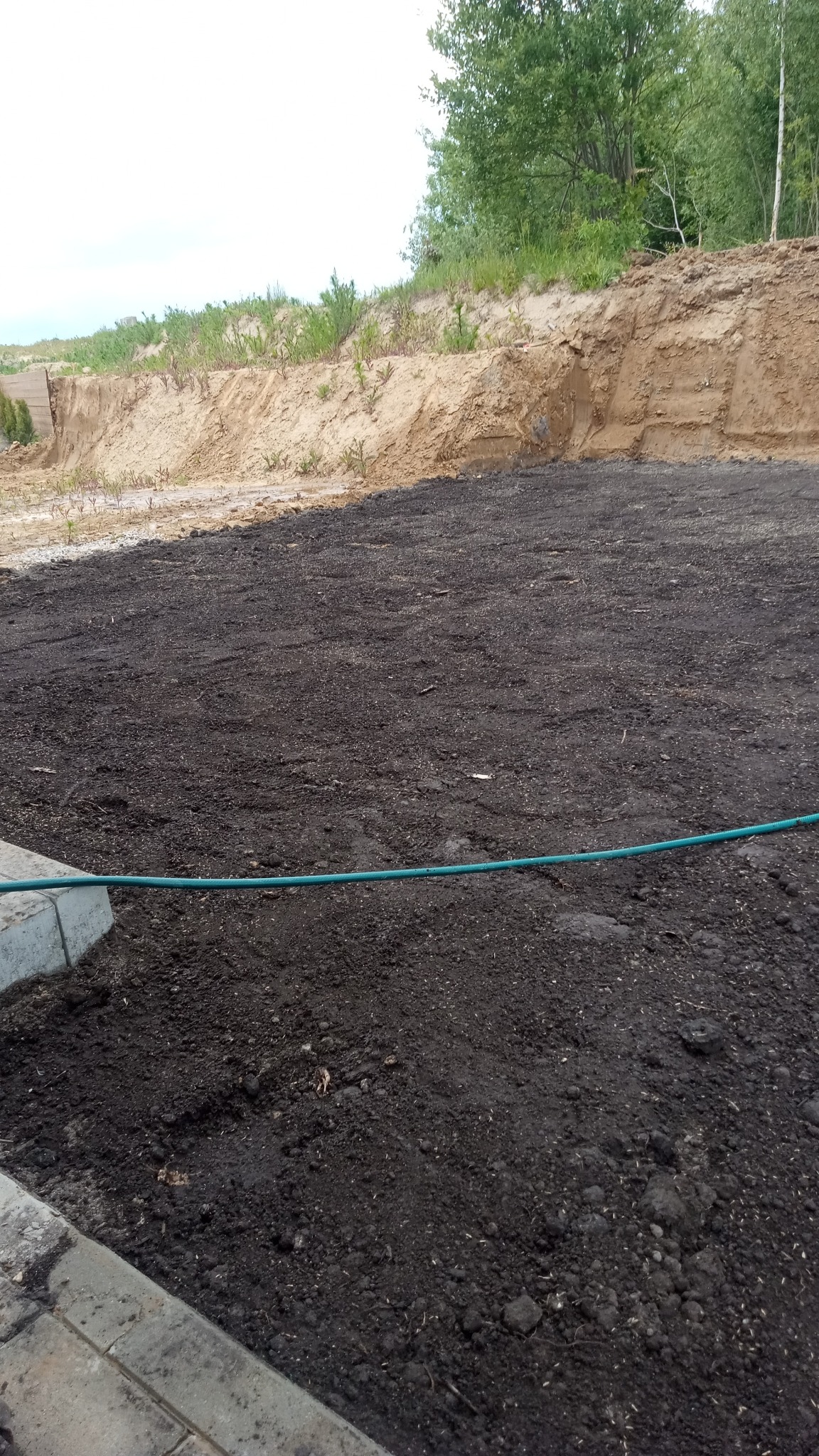 Przygotowany teren pod trawnik w Ornecie: wyrównana ziemia, widoczny brzeg chodnika i nasyp ziemny w tle. Gotowość do założenia trawy.