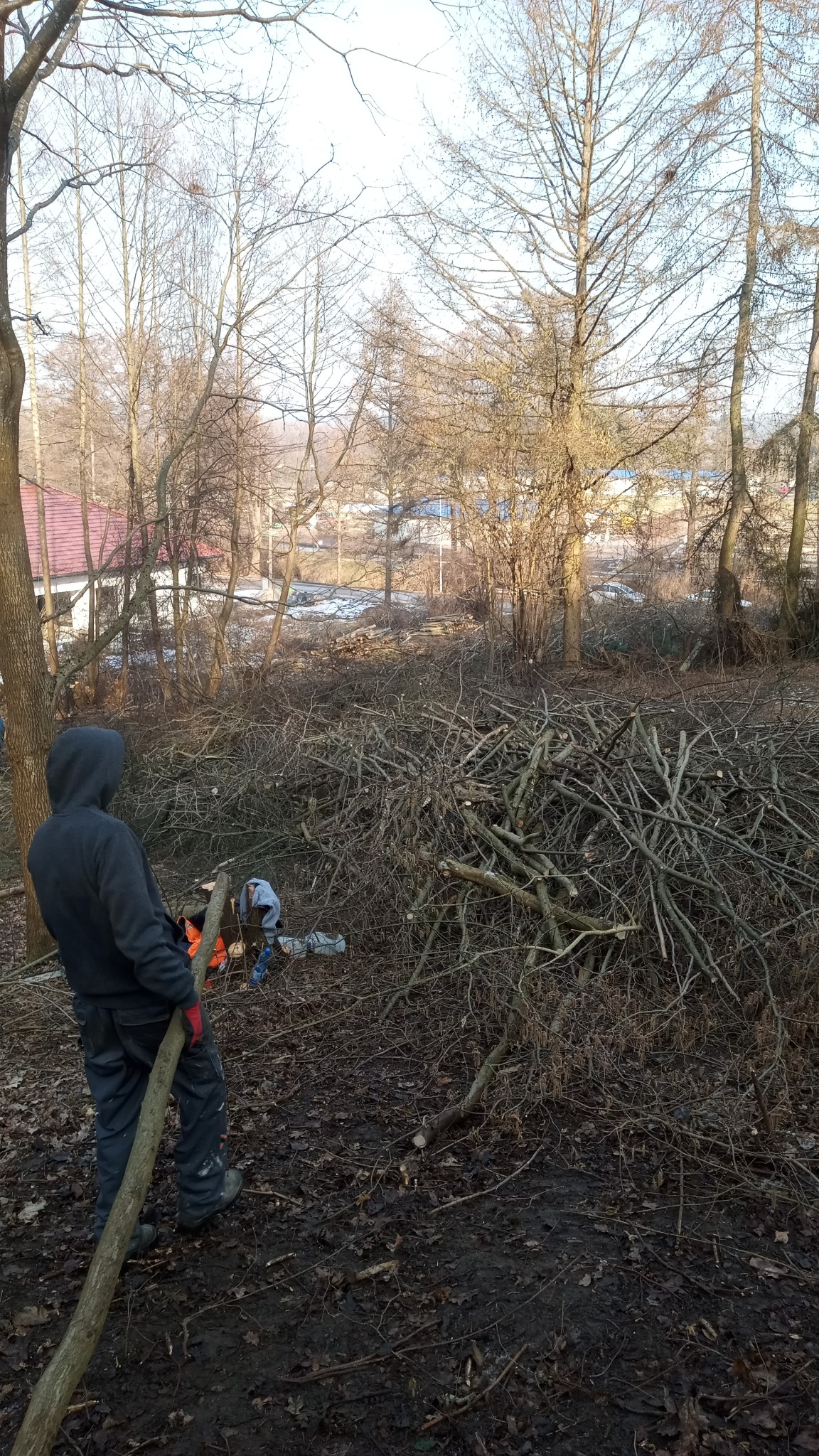 Stos gałęzi po wycince w terenie zalesionym, pracownicy w tle, jeden z nich trzyma grubą gałąź. Widoczne drzewa bez liści i fragment budynku w oddali.