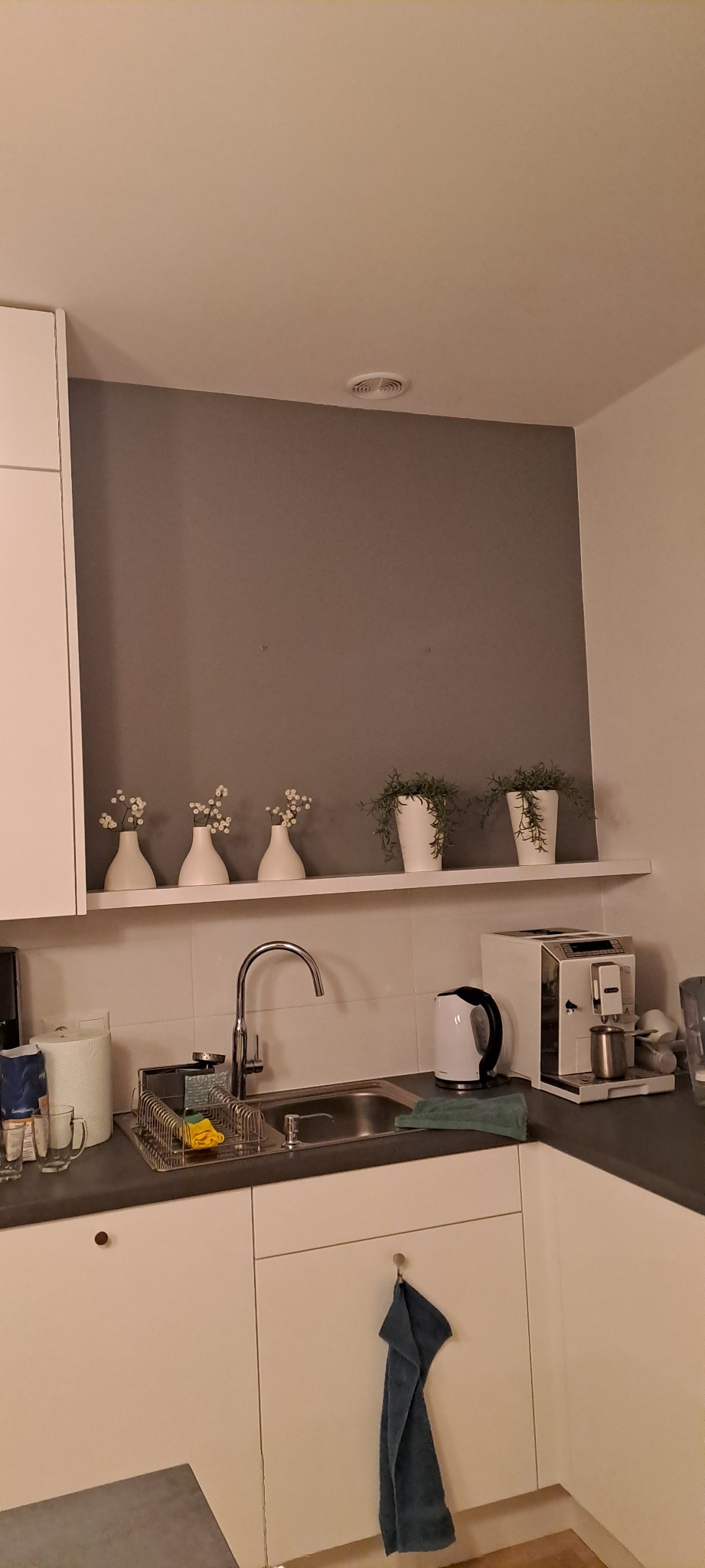 Minimalistyczna kuchnia z szarą ścianą, białymi szafkami i półką z dekoracjami: wazony z kwiatami i doniczki z zielenią. Ujęcie na zlewozmywak i akcesoria.