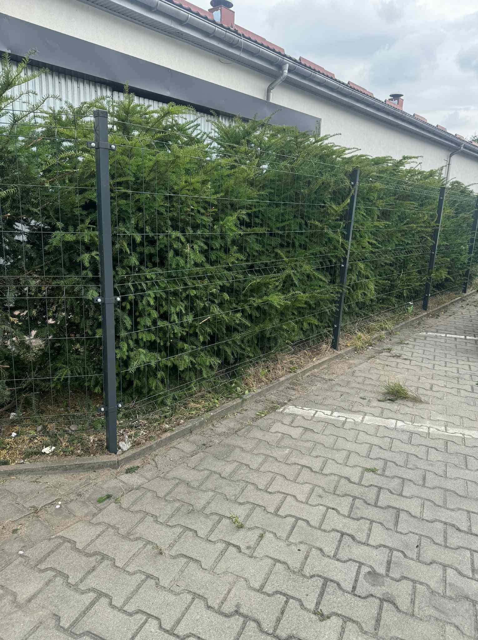Nowoczesne ogrodzenie panelowe z siatki, zintegrowane z żywopłotem w Lesznie. Szare słupki i zielona roślinność tworzą estetyczne oddzielenie posesji.