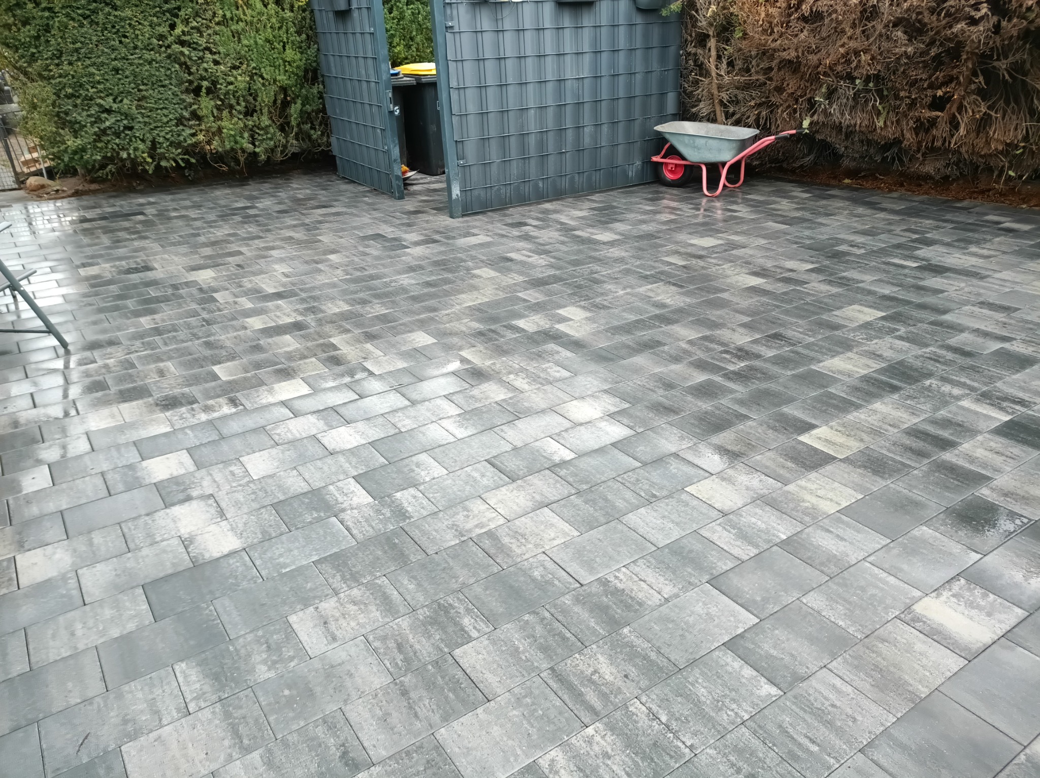Ułożona, szara kostka brukowa w ogrodzie z zielenią i wózkiem. Widoczny fragment metalowego schowka na śmieci. Kostka ułożona wzorem prostokątnym.