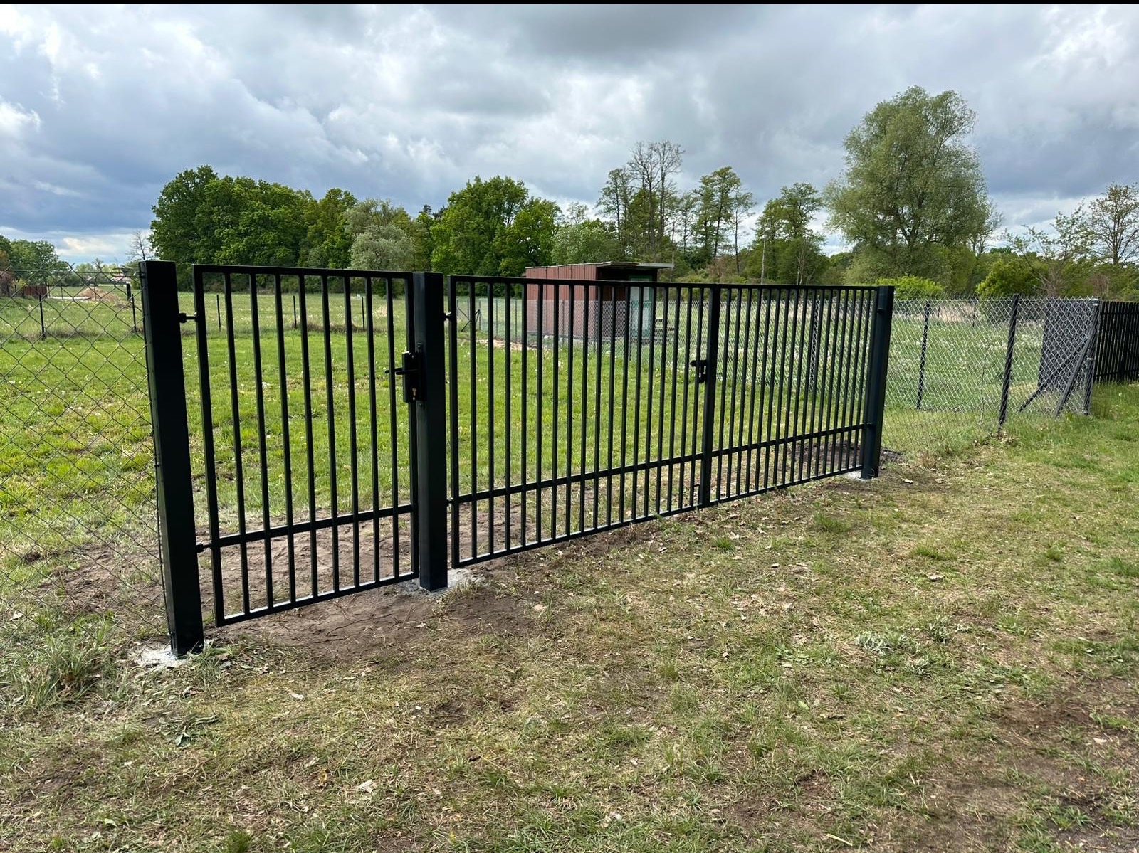 Nowa, czarna brama metalowa z pionowymi szczeblami, zamontowana przy ogrodzeniu z siatki na tle zielonej trawy i drzew pod pochmurnym niebem. Widoczne ślady montażu.