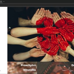 Strona główna Równi w Sieci - organizacja non-profit przeciwdziałająca wykluczeniu cyfrowemu