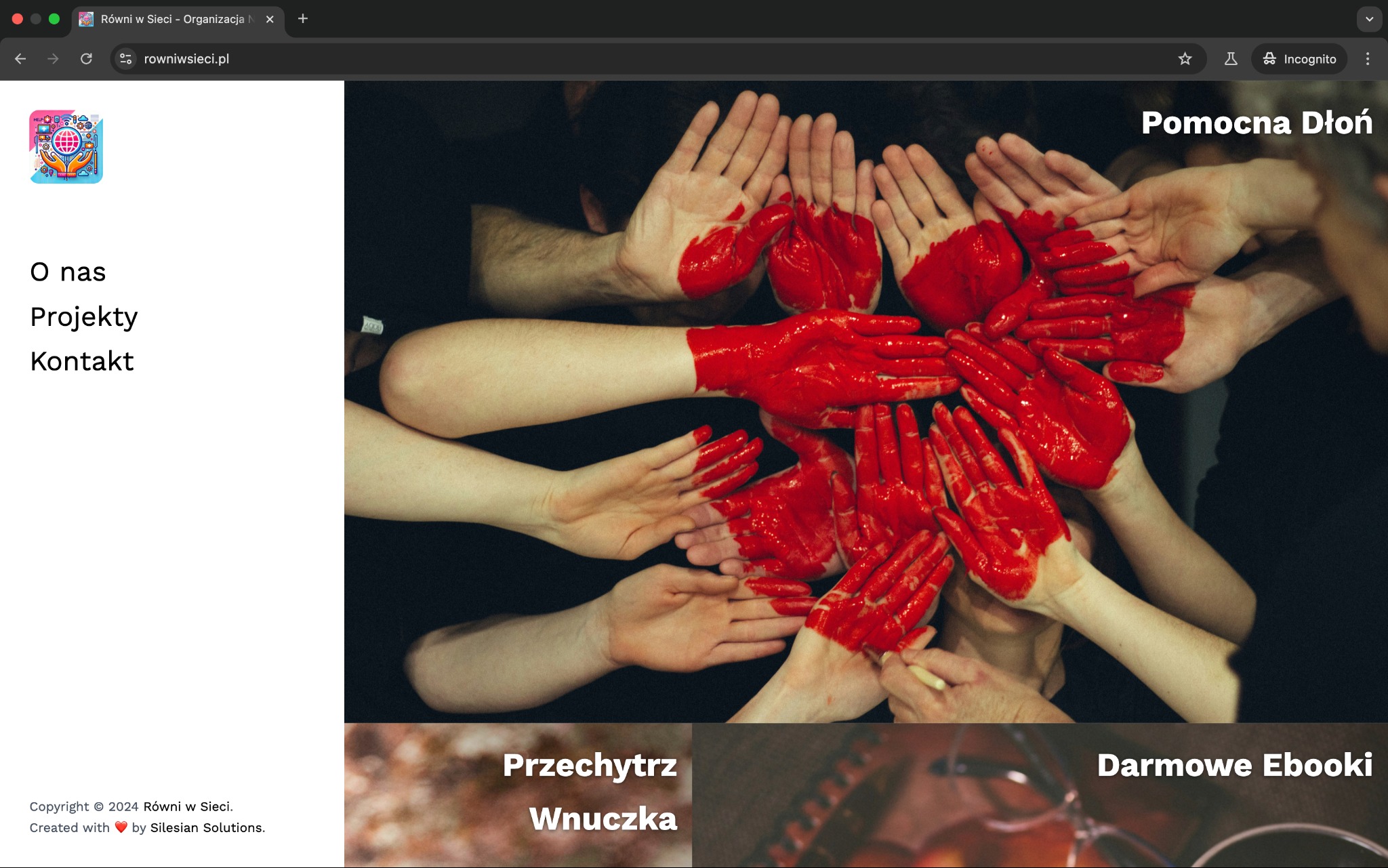 Strona główna Równi w Sieci - organizacja non-profit przeciwdziałająca wykluczeniu cyfrowemu