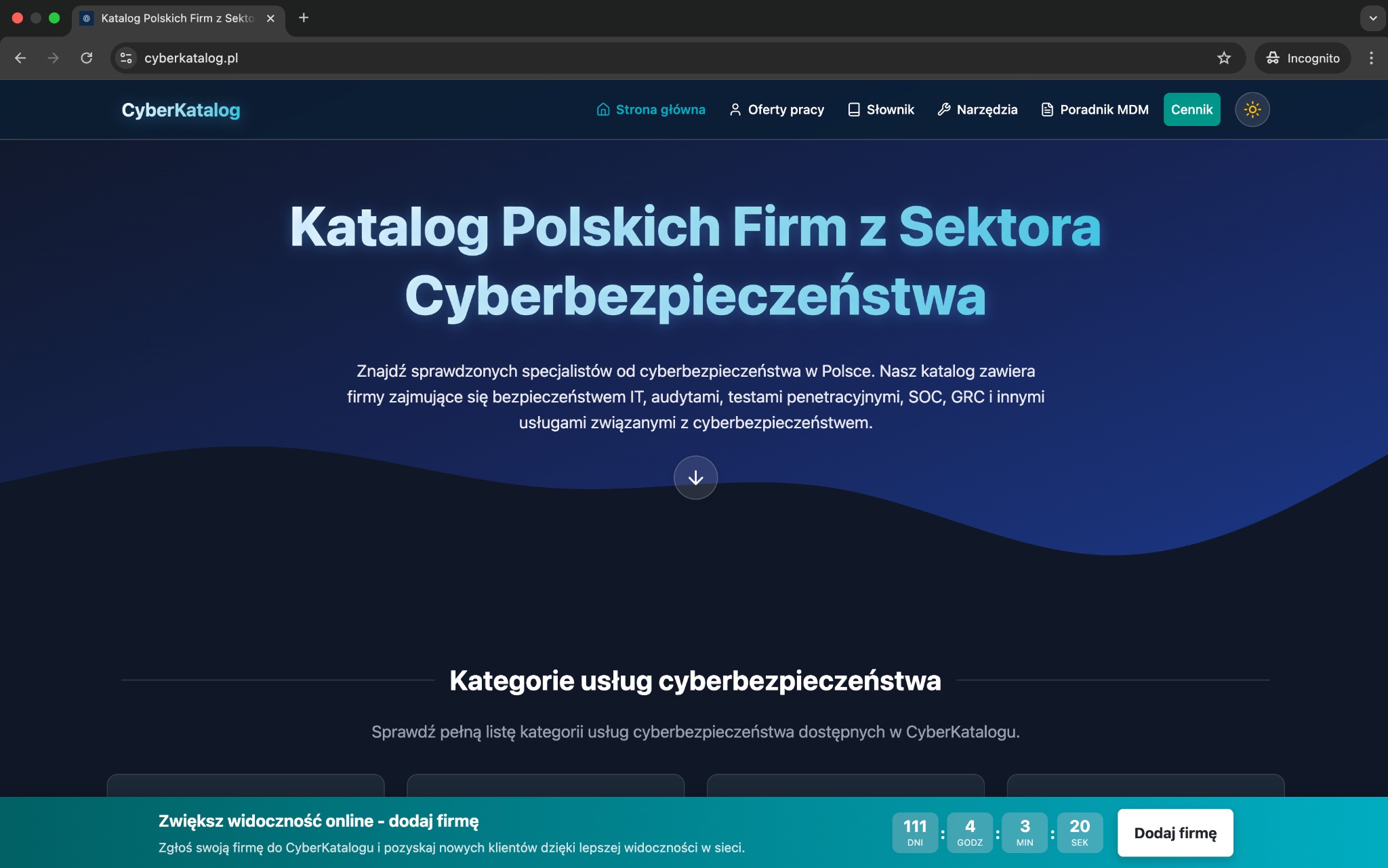 Interfejs Cyber Katalog - katalog firm cyberbezpieczeństwa