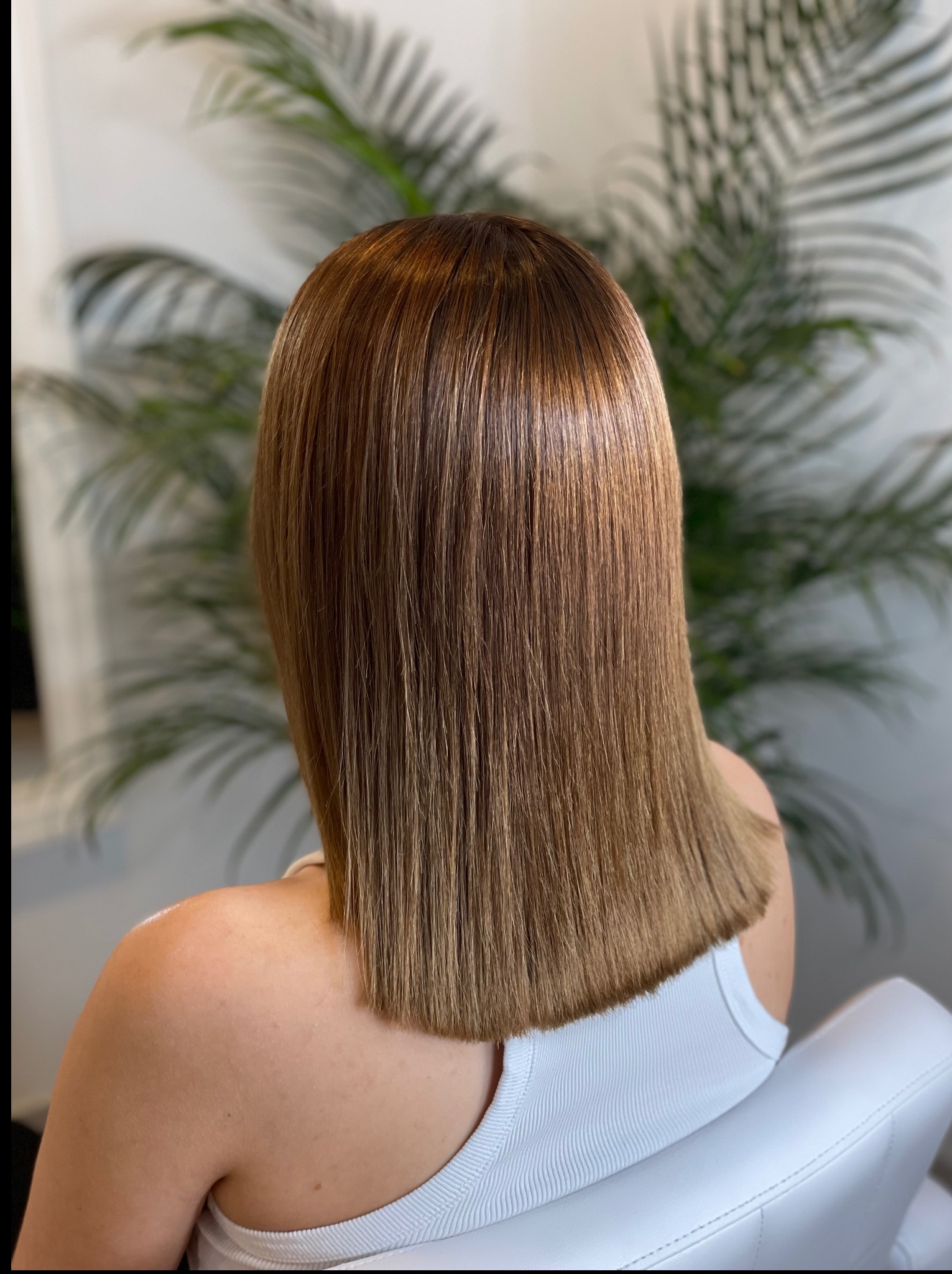 Proste, lśniące włosy do ramion z delikatnym ombre, widok z tyłu, na tle zielonej rośliny. Włosy brązowe z refleksami.