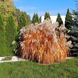 Remonty mieszkań Pruszków 1