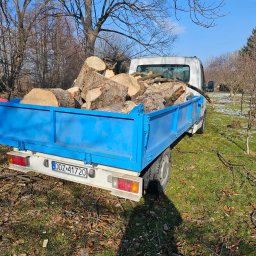 Roboty ziemne Pieszyce 3