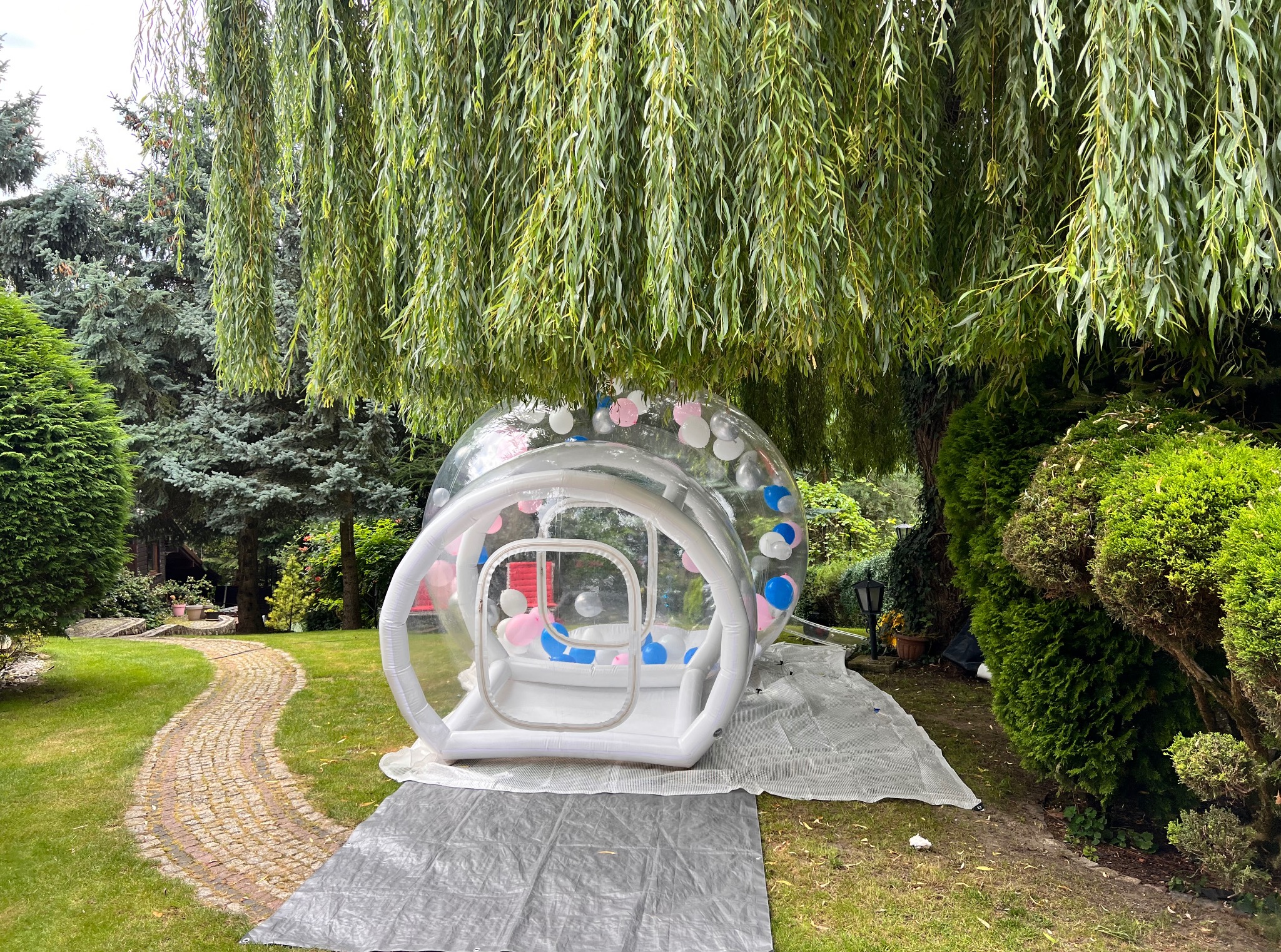 Przezroczysty, dmuchany namiot z białymi i różowymi balonami w środku, ustawiony na trawniku pod drzewem z długimi, zwisającymi gałęziami.