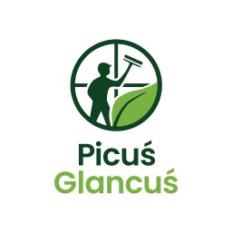 Picuś Glancuś Dominik Popiołek - Mycie Elewacji Nowa Wieś