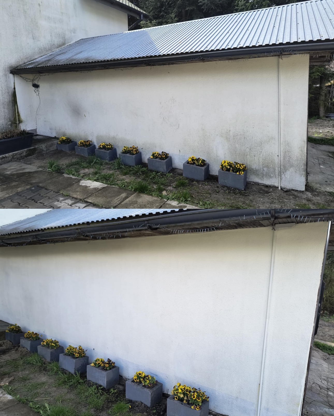 Zdjęcie elewacji budynku przed i po czyszczeniu, z widocznymi różnicami w zabrudzeniach. Rząd donic z kwiatami wzdłuż ściany, blaszany dach.