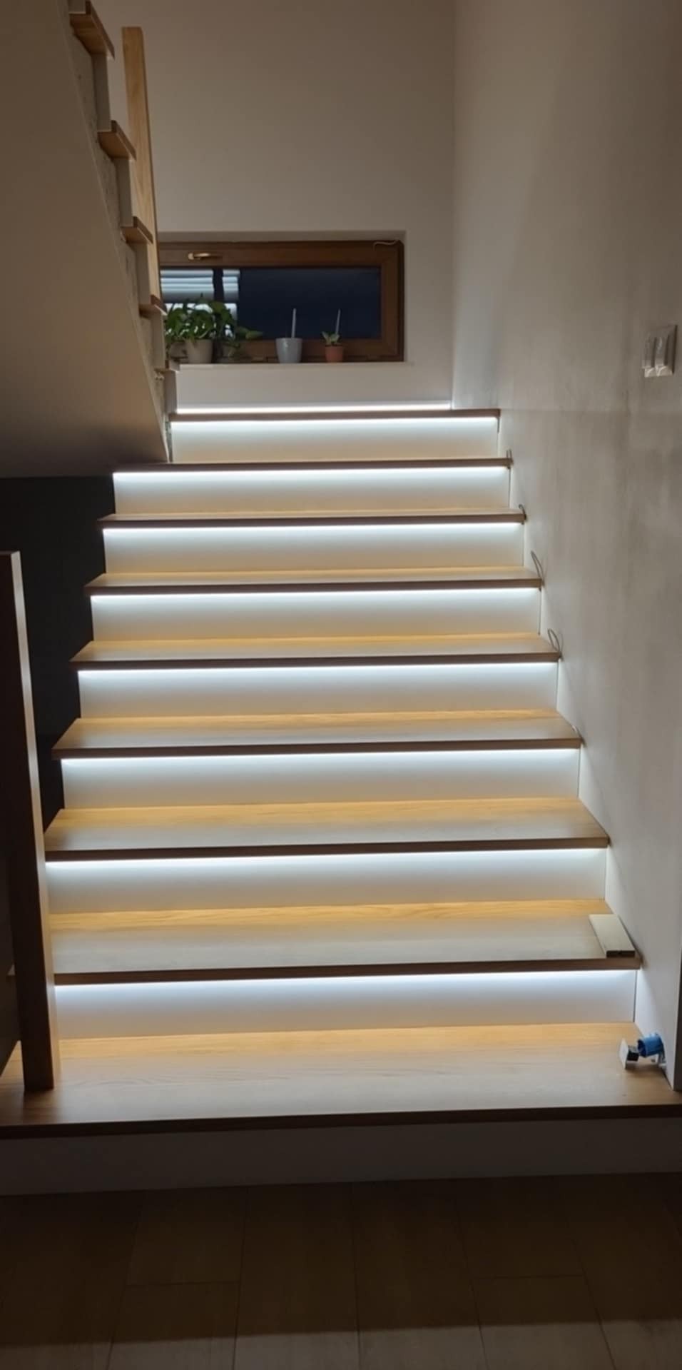 Schody drewniane z subtelnym oświetleniem LED pod stopniami, widok z dołu. Rośliny w oknie w tle dodają naturalnego akcentu.