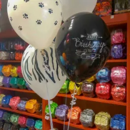 Cztery balony z helem: biały z czarnymi śladami łap, biały z motywem kota, biały w czarne paski zebry i czarny z napisem 'Happy Birthday to you!', na tle regału z balonami w różnych kolorach.