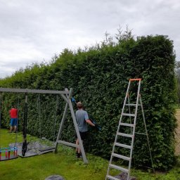 Pielęgnacja ogrodów Konstancin-Jeziorna 2