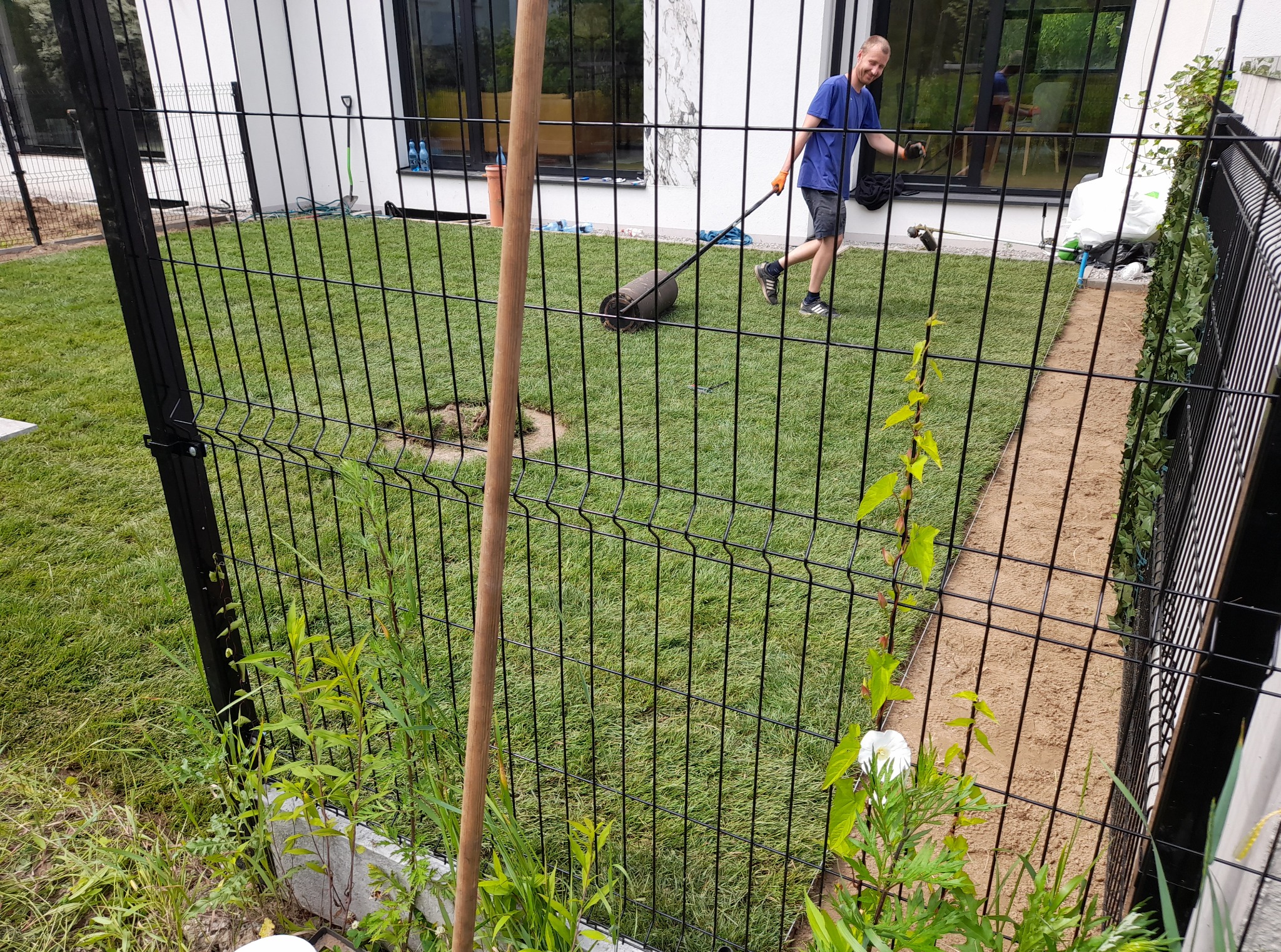 Mężczyzna w niebieskiej koszulce wyrównuje trawnik walcem ogrodowym na tle nowoczesnego domu, widok przez czarne ogrodzenie.