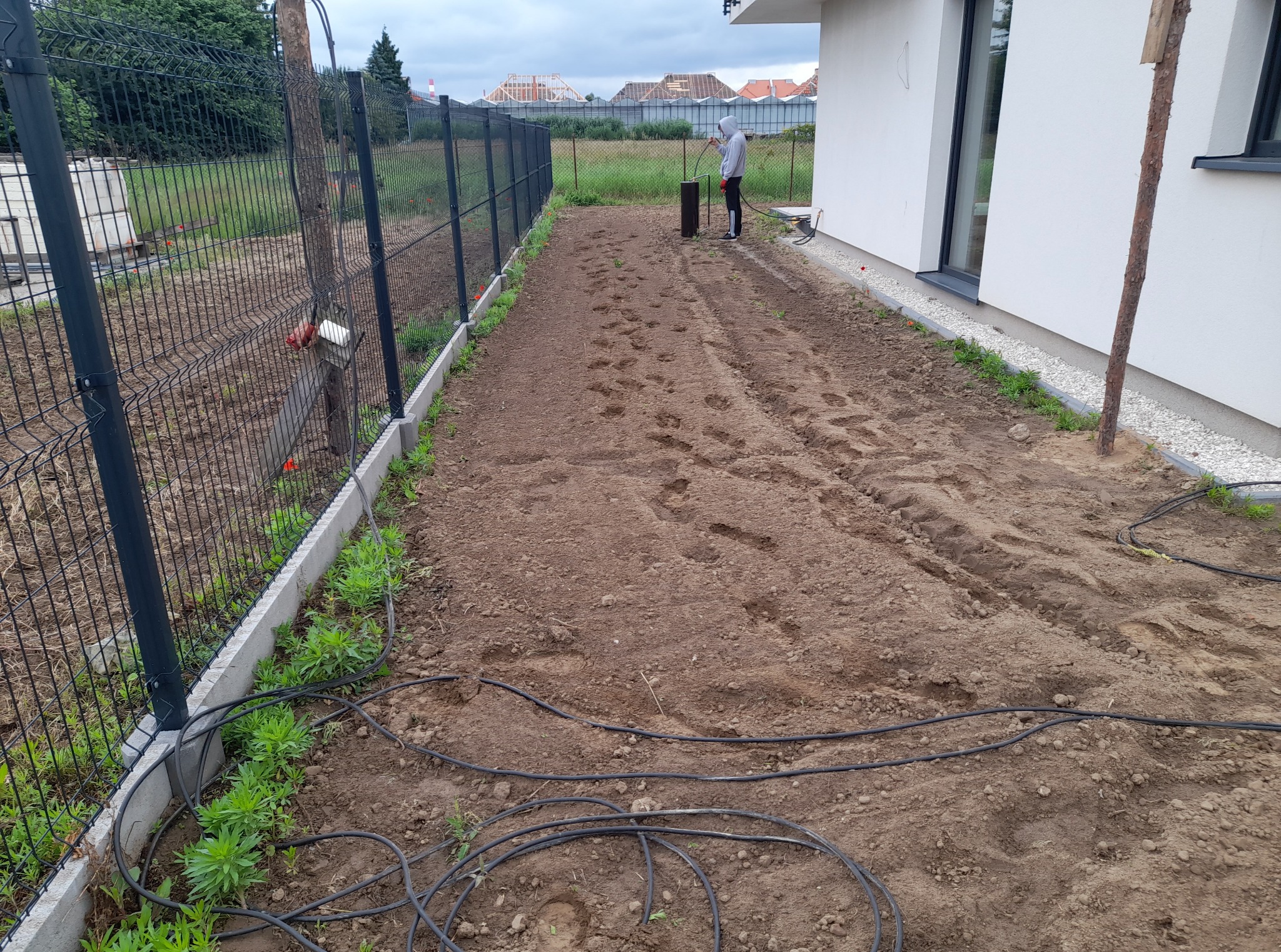 Przygotowany teren pod trawnik z widocznym systemem nawadniania i osobą rozprowadzającą wodę. Grządka obramowana betonem, zieleń wzdłuż ogrodzenia.