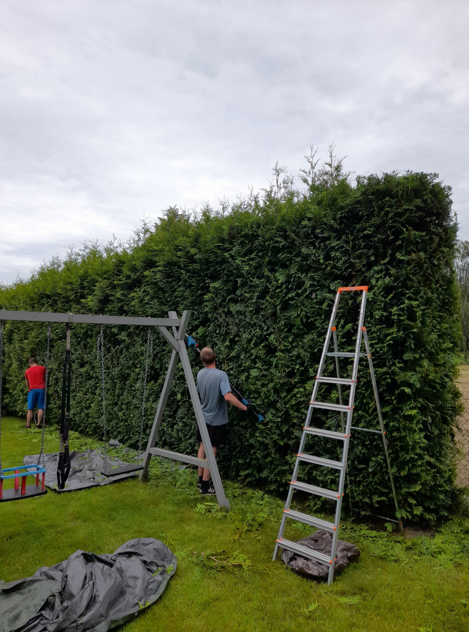 Formowanie żywopłotu z tui przy pomocy nożyc elektrycznych i drabiny. W tle huśtawka i osoba w czerwonej koszulce. Dużo zieleni i pochmurne niebo.