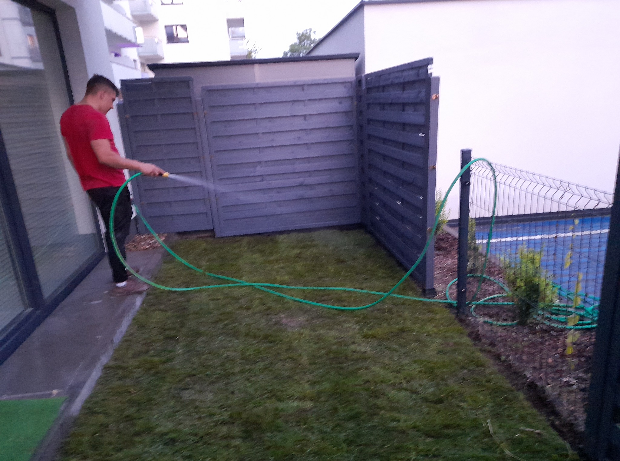 Mężczyzna w czerwonej koszulce podlewa świeżo założony trawnik z węża ogrodowego, obok drewniany płot i fragment budynku mieszkalnego.