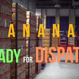 Urban Prism Media - Info grafika