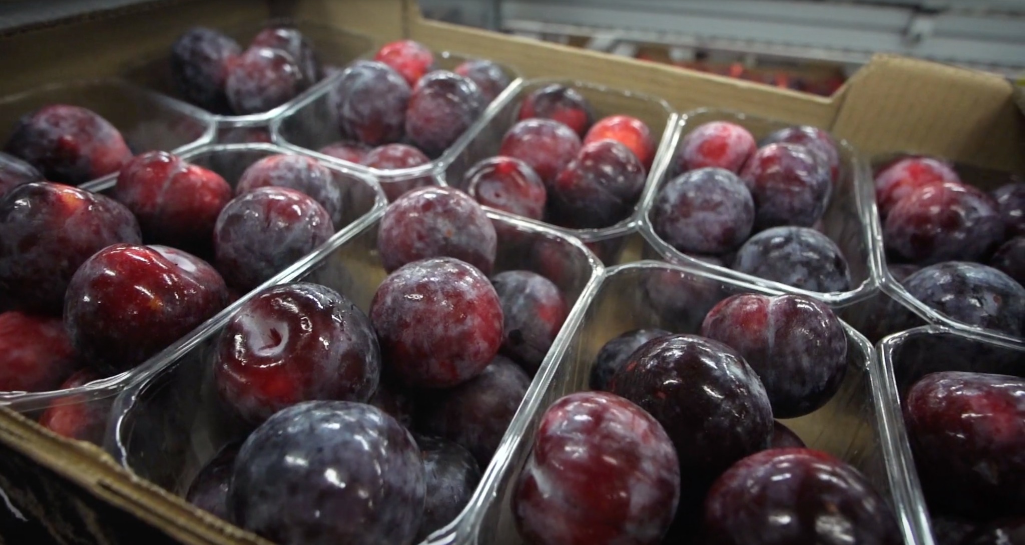 Komercyjne Video Tours