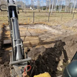 Żółta koparka w trakcie wykopu pod fundamenty na działce z młodymi brzozami. Ziemia odsłonięta, widoczne ślady pracy maszyny.