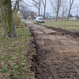 Wycinka drzew Prażmów 4