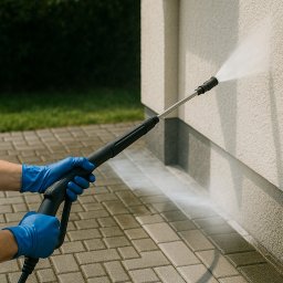 Oskar Chylo - Dekarstwo Lwówek