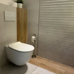 Nowoczesna łazienka z podwieszaną toaletą, szarą płytką i akcentami drewna. Na ścianie dekoracyjna, pozioma faktura. Minimalistyczny styl z rośliną doniczkową.