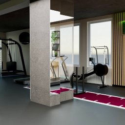 Inspire Design Agata Miroń - Nowoczesna siłownia domowa z różnorodnym sprzętem fitness: bieżnia, rower stacjonarny, atlas. Minimalistyczny design, szara kolorystyka, drewniane panele ścienne i zielone akcenty.