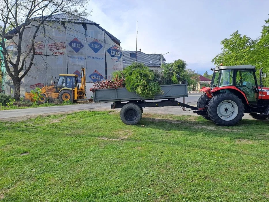 Czerwony traktor z przyczepą pełną gałęzi na tle budynku w rusztowaniach i żółtej koparki. Wywóz gałęzi po wycince drzew.
