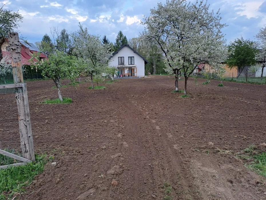 Przygotowany teren pod uprawę z młodymi drzewkami owocowymi w kwitnącej fazie. W tle biały dom z balkonem i fragment ogrodzenia. Widok z poziomu gruntu.
