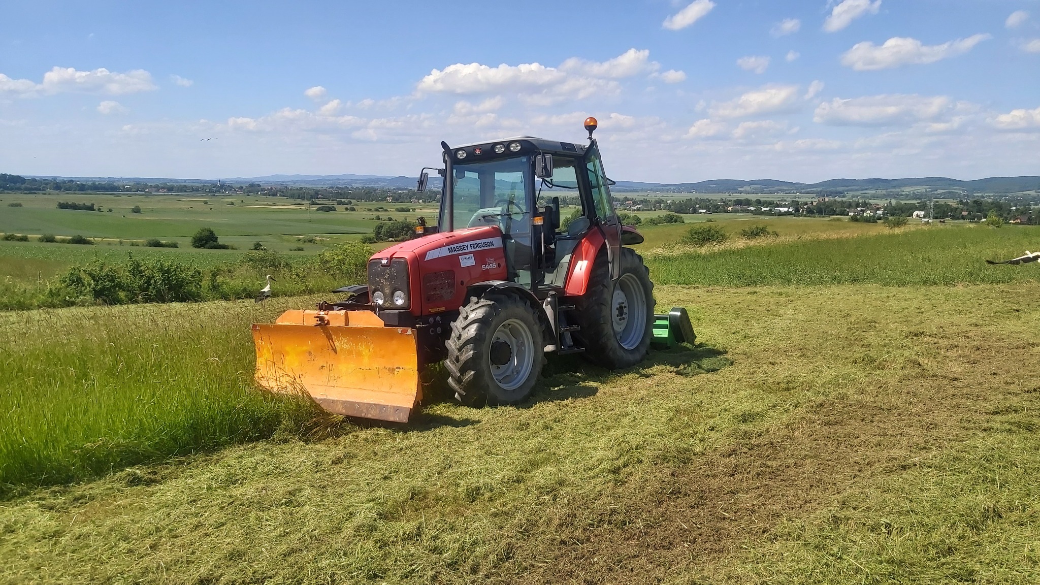 Czerwony traktor Massey Ferguson 5445 z żółtym pługiem na polu po koszeniu trawy, w tle zielony krajobraz i błękitne niebo z chmurami.