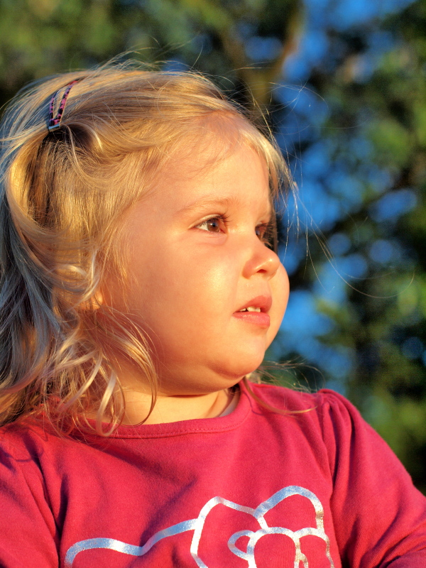 Softfilm - Fotografia