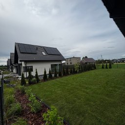 HEKTAR - Zadbany trawnik przed nowoczesnym domem z panelami słonecznymi, obrzeża rabat wysypane korą, rząd małych drzewek iglastych wzdłuż ogrodzenia. Pochmurne niebo.