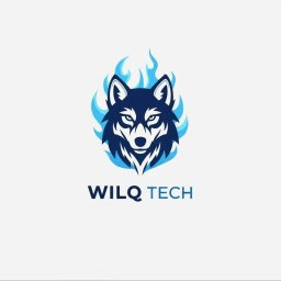 WilQ Tech - Firma Programistyczna Męcinka