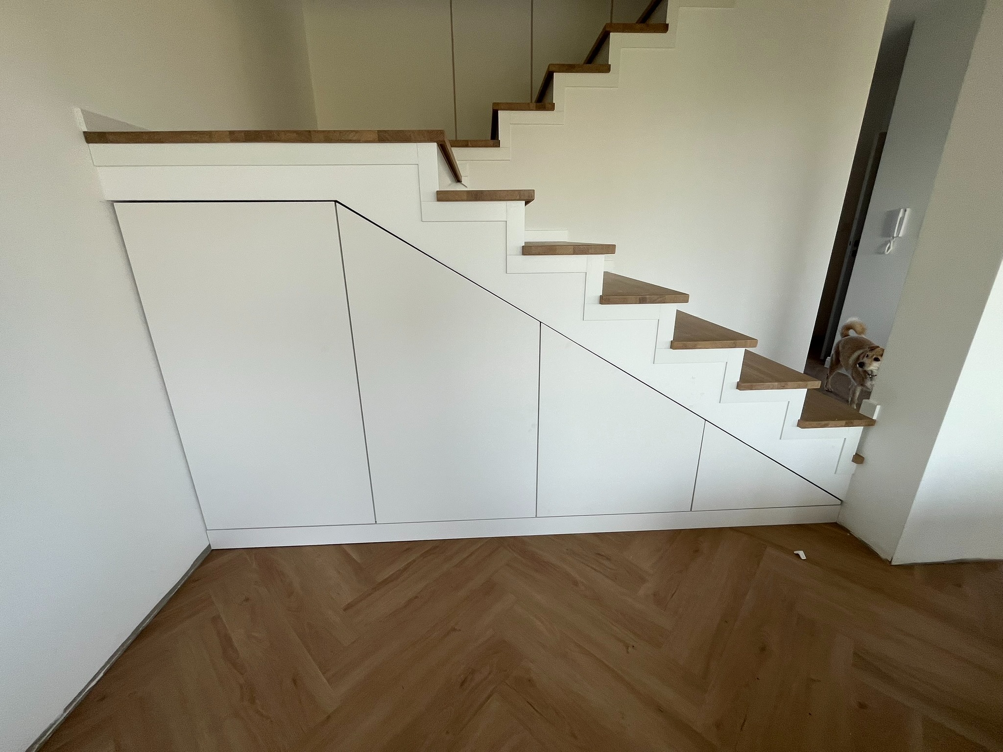 Białe szafy pod schodami z drewnianymi stopniami, parkiet w jodełkę na podłodze. Mały pies wchodzi po schodach, widoczny w tle.