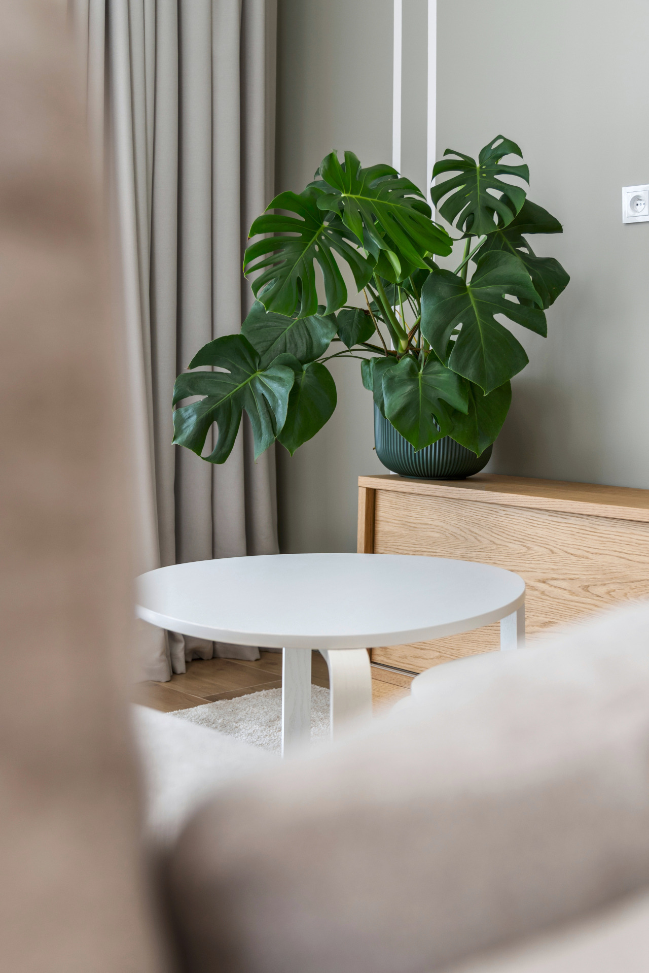 Jasne wnętrze: monstera w doniczce na drewnianej komodzie, okrągły stolik, beżowe zasłony i sofa. Minimalistyczny design z akcentem roślinnym.