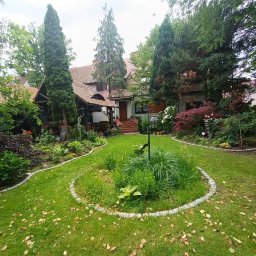 Przycinanie drzew Legnica 4