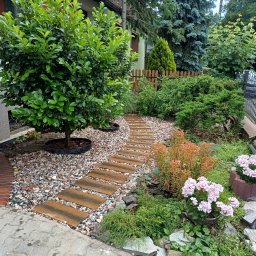 Przycinanie drzew Legnica 3