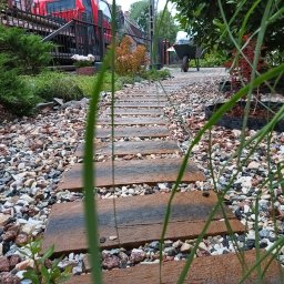 Przycinanie drzew Legnica 1