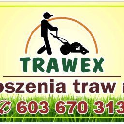 Trawex Rafał Lemanczyk - Wyjątkowe Nasadzanie Drzew Chojnice