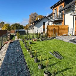 Trawnik po pierwszym koszeniu, rozpoczęcie prac nasadzeniami. 