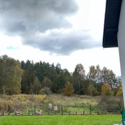 Efekt końcowy założenia trawnika z siewu wraz z nasadzeniami. 