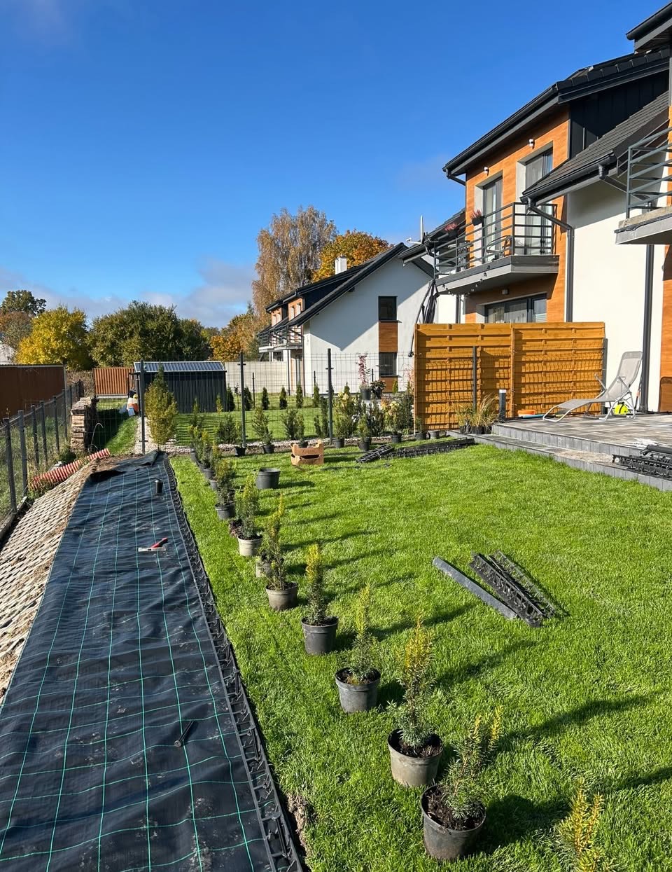 Trawnik po pierwszym koszeniu, rozpoczęcie prac nasadzeniami.