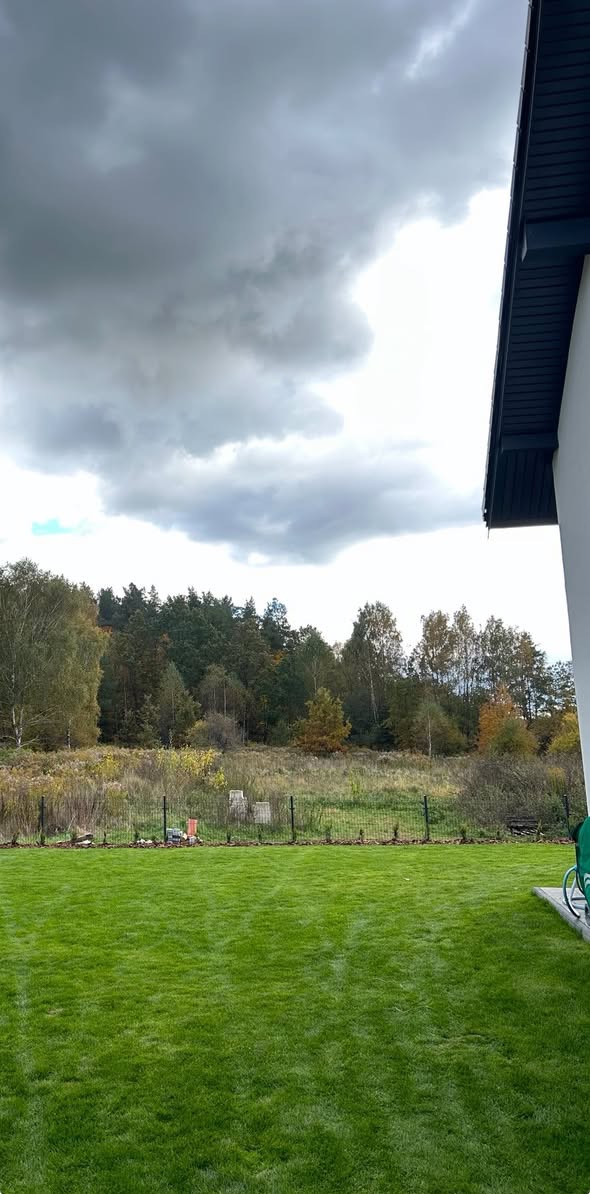 Efekt końcowy założenia trawnika z siewu wraz z nasadzeniami.