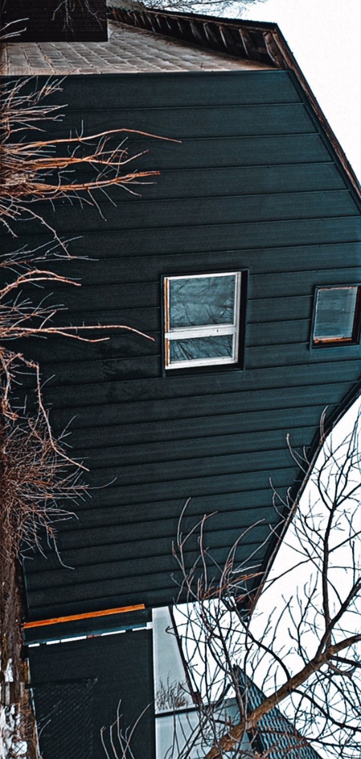 Ciemna elewacja domu z widocznymi dwoma oknami, z których jedno jest większe. Na pierwszym planie gałęzie drzewa bez liści. Ujęcie z dołu.