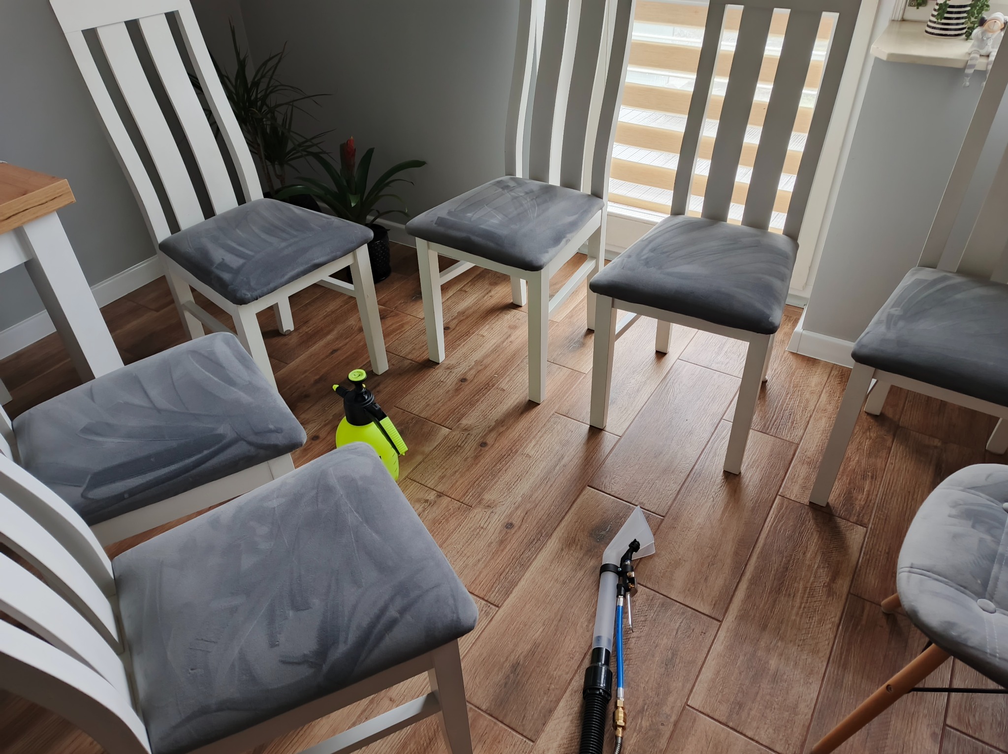 Krzesła z szarą tapicerką po praniu, widoczny spryskiwacz i odkurzacz piorący na drewnianej podłodze. Białe krzesła w jasnym pomieszczeniu.